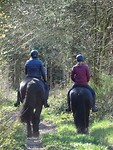 Bezoekers van het bos!