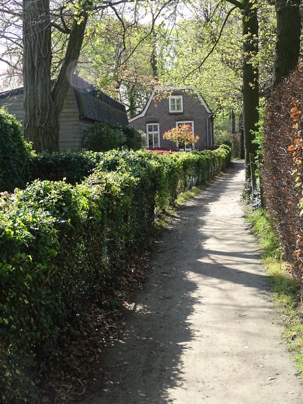 Dwarsdijk!