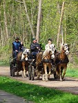 En de Groeten van Pippie!
