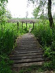 Knuppelbruggetje!