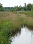 De Naad van Brabant!