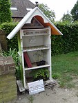 Verkoop Tomatenplanten!