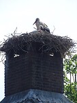 En de laatste! De groeten van Pippie!
