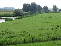 Maffia in de Polder!