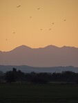 Kalimera!