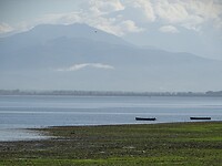 Lake Kerkini!