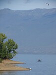 Lake Kerkini!