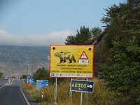 Beren op de weg!