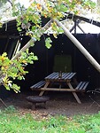 Leuk plekje voor een picknick!