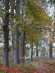Herfst!