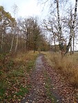 Herfst!