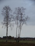 Donker en guur weer!