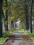 Herfst!