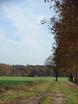 Landgoed De Hoevens!