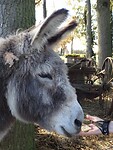 Wat een schat.....