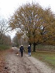 Op weg naar een neut.....