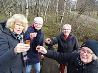 Op de Zusjes Kuis!