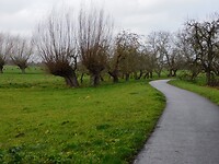 Leuk pad tussen de boomgaarden door!