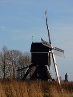 De Oudendijkse Molen......Lekkere vlierbessen voor 🍷🍷