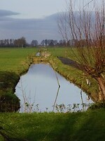 De mooie polder......
