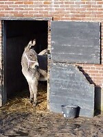 Hannes!