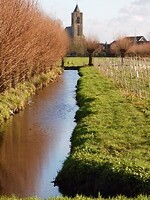 De kerk en de wijngaard!