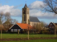 Het mooie Hoornaar!
