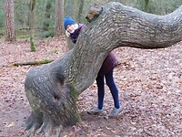 En de Groeten van Pippie!