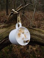 Voor de vogels.....