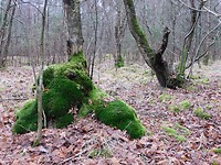Wandelroute “Naar ‘t Panneven”!