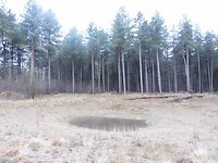 Poedelbadje....