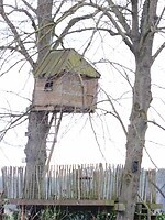 Boomhut!