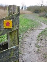 Natuurgebied de Avelinge!
