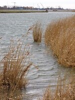 Rivier de Merwede!