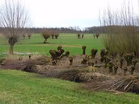 Grienden!