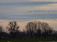 Natuurgebied de Avelinge!