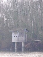 Vogelhut!