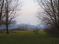 Struinen door de Breemwaard!