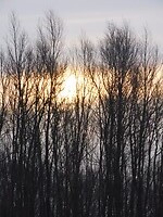 De zon komt op.....