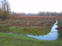 De Breemwaard!