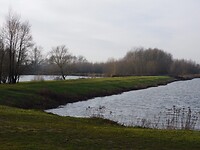 De Breemwaard!