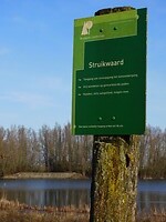 Natuurgebied de Struikwaard!