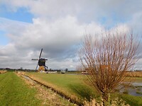 Westermolen uit 1652.....wipmolen.