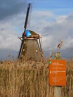 Molen van Goudriaan heeft een geknakte wiek!