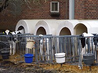 Bij een boer.....