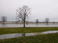 Rivierenlandschap.....