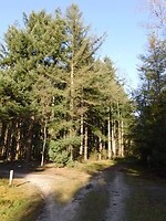 Landgoed de Rovertsche Heide!