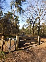 Landgoed Rovertsche Heide!