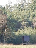 Jachthut aan de bosrand.....