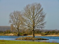 Eilandje in de Maas....